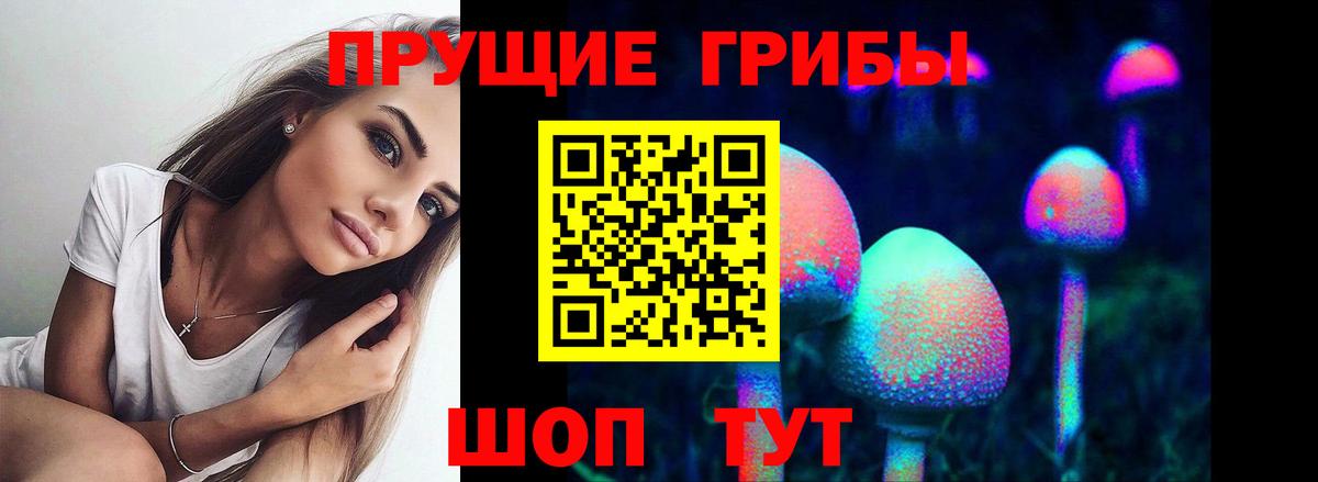 Псилоцибиновые грибы ЛСД Дзержинск